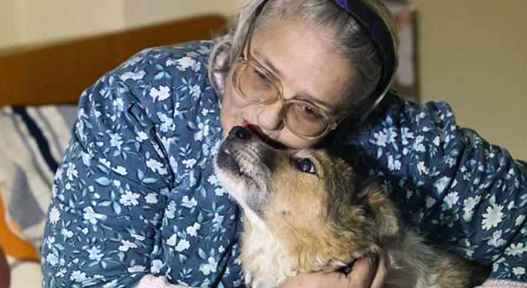 cane anti depressivo