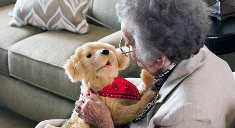 cane buonumore