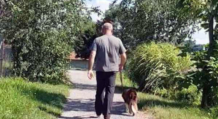 cane a passeggio